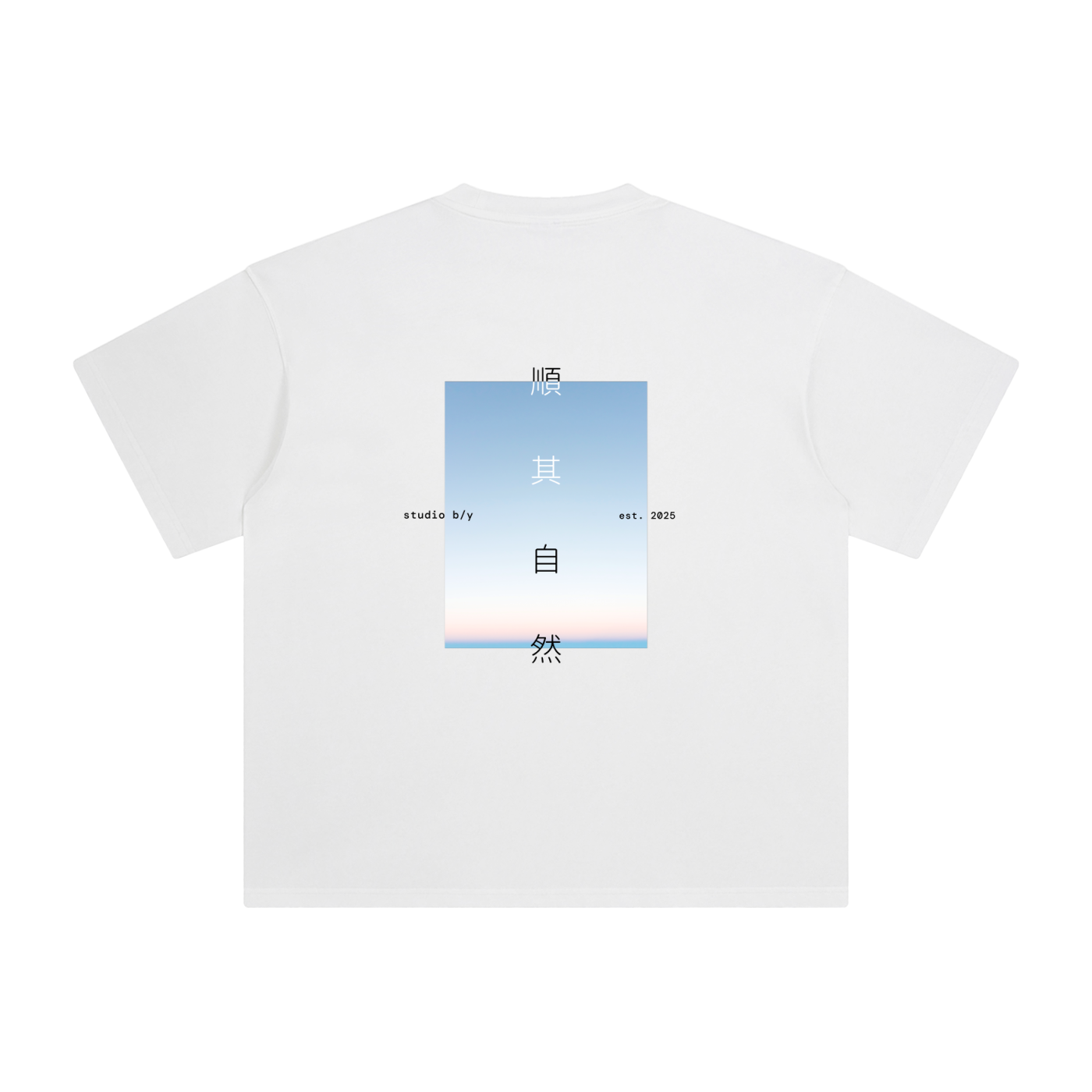 tshirt,enzyme washed